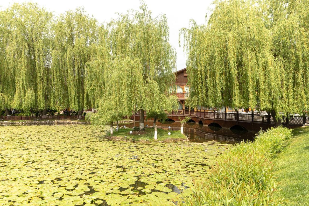 Complex Turistic Darina Sancraiu De Mures ภายนอก รูปภาพ