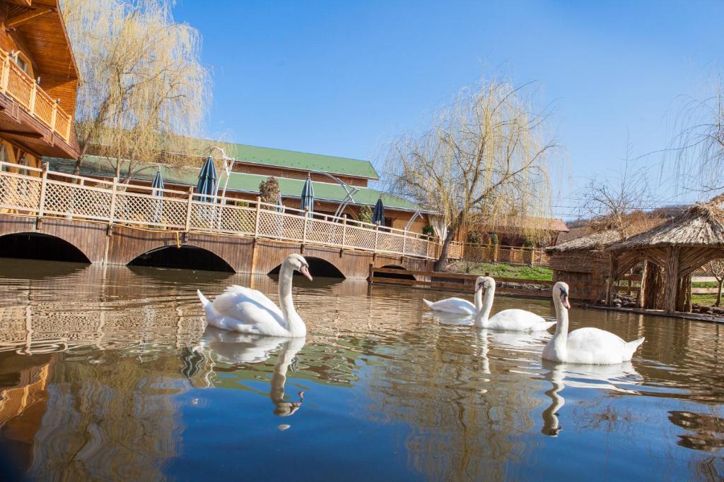 Complex Turistic Darina Sancraiu De Mures ภายนอก รูปภาพ